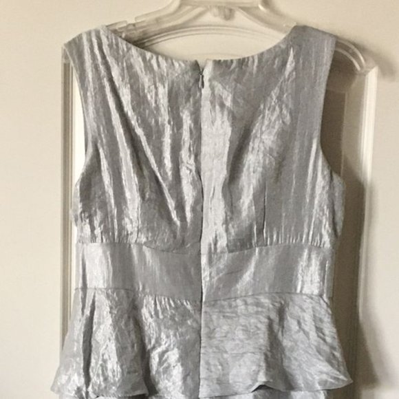 Platinum Dress with Sequins - Picture 4 of 6